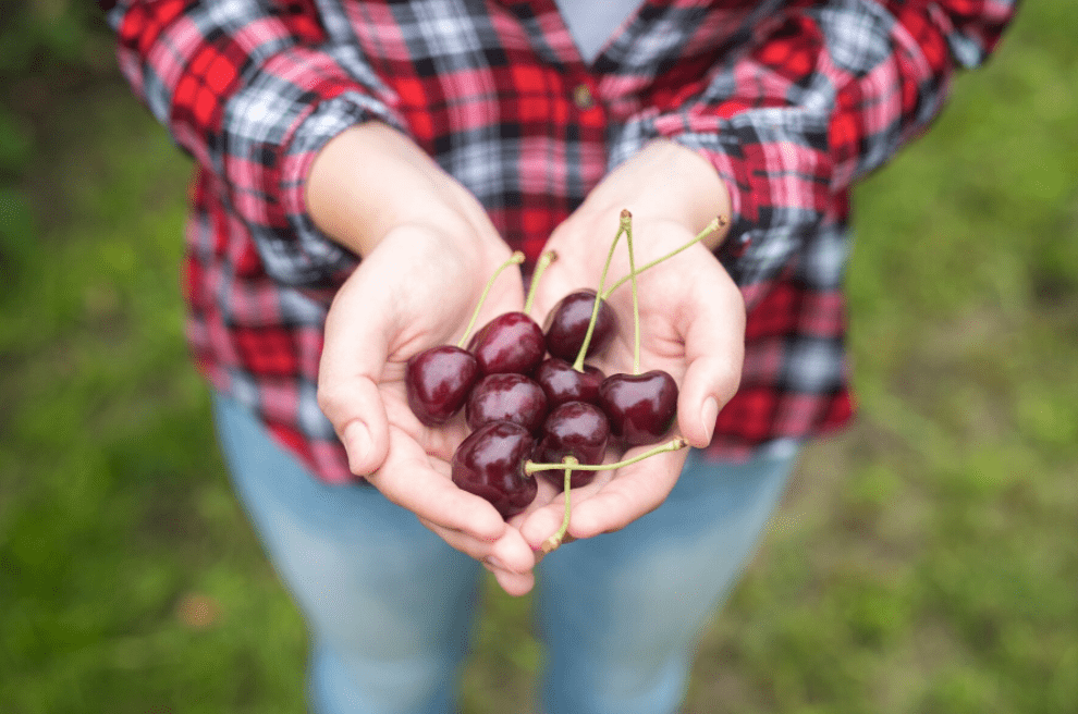 cherry picking transport colis